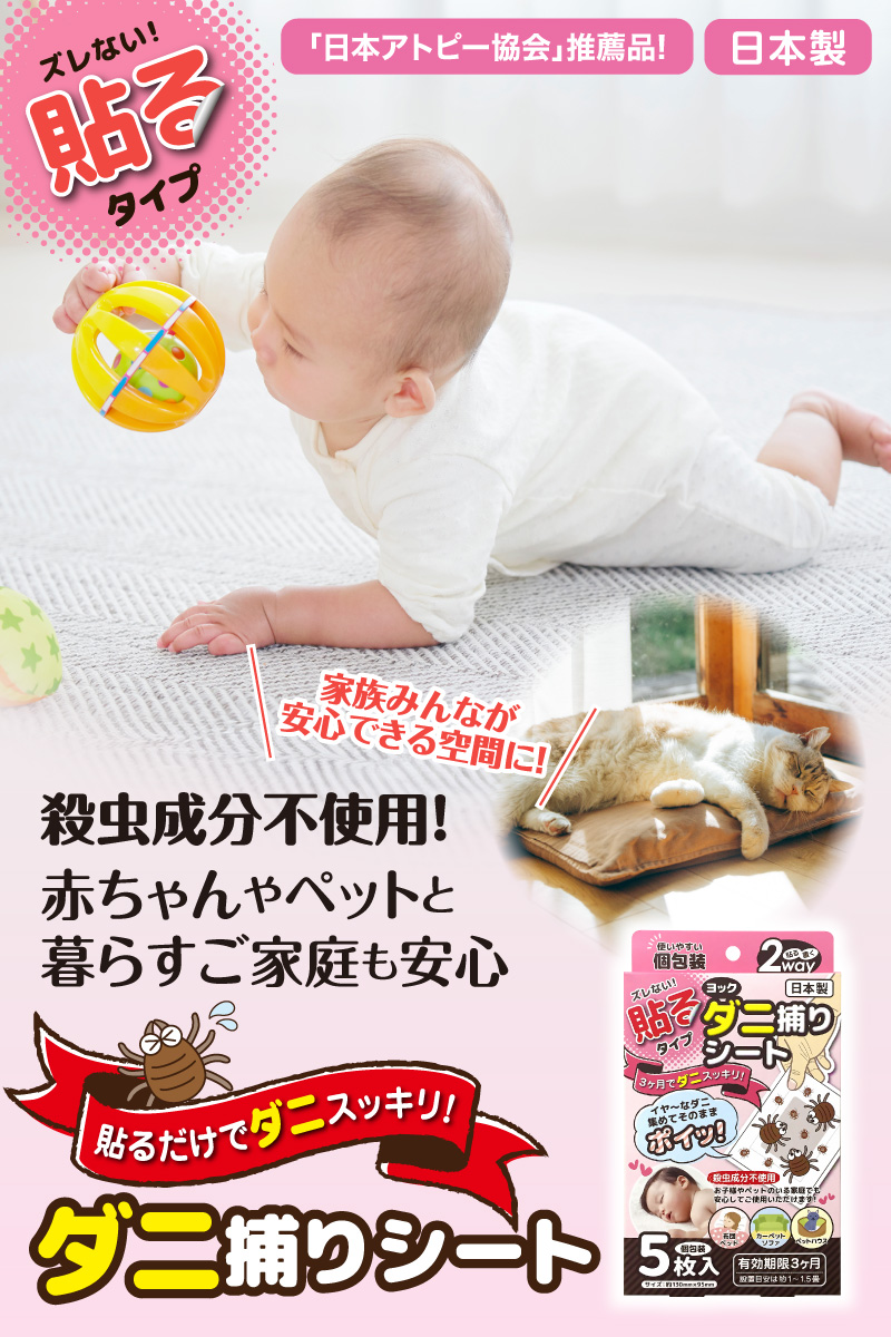 コングルコンジェット