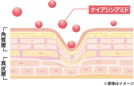 有効成分ナイアシンアミドがお肌の真皮層に働きかけ、ハリの元であるコラーゲンの生成を促し、肌をぐっと押し上げてシワを改善します。