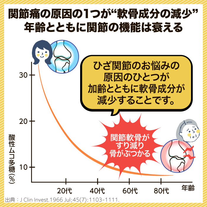 商品の特徴