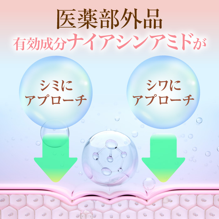 商品の特徴